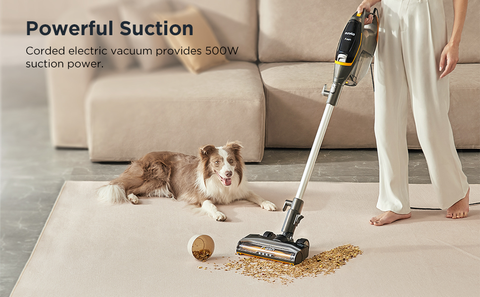 Choosing the Best Vacuum for Carpet and Hardwood: A Guide